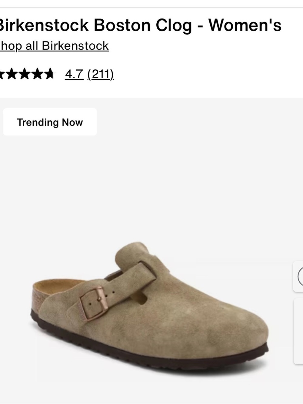 Birkenstock Boston Suede Clog in Taupe Green